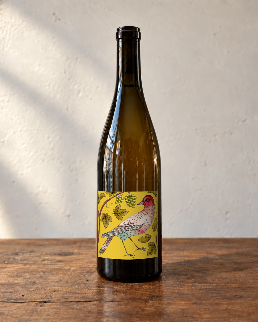 Bourgogne Aligote 2023 (75 cl) — Les Flâneurs de Vin
