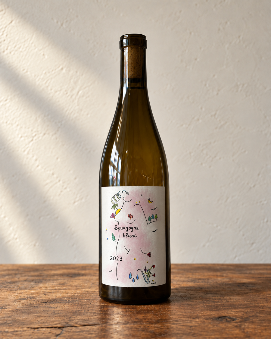 BOURGOGNE BLANC 2023 (75 cl) — Domaine Guillemot-Michel